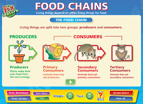 Twinkl food chains image